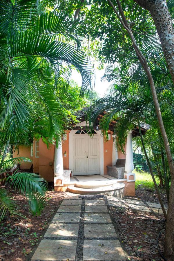 Wildflower Villas - All Villa Hotel, Family Run Кандолим Екстериор снимка